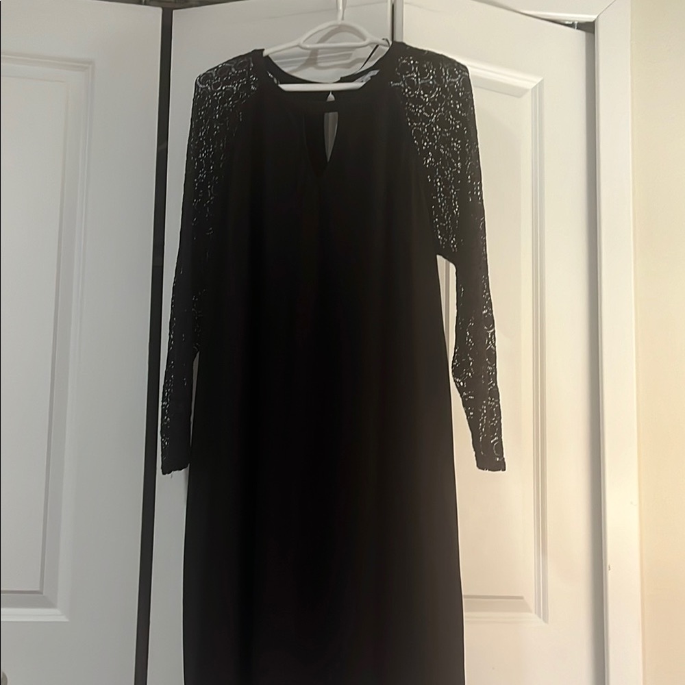 Elegant Black Lace Sleeve Dress